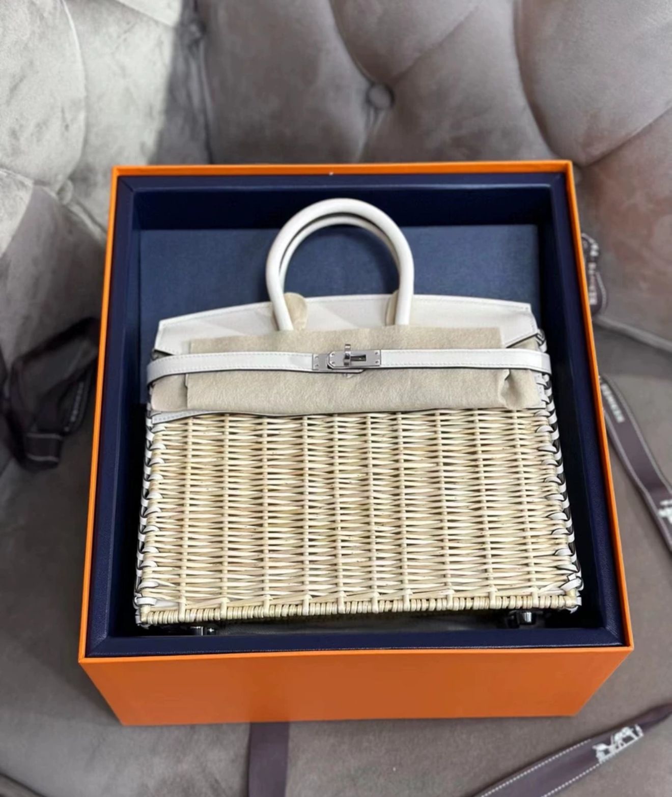 Hermès Birkin 25 Picnic Nata Palladium Hardware