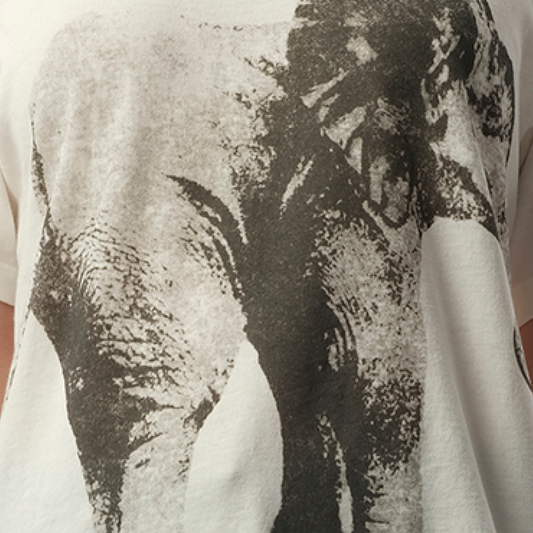 Elephant Printed T-Shirt in White