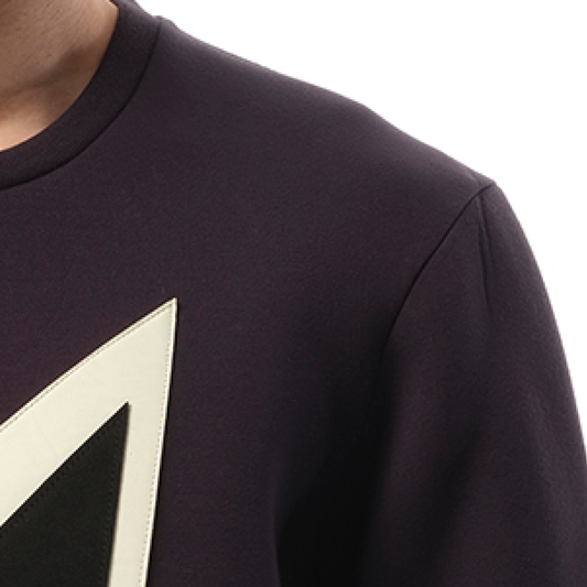 Sweatshirt in Purple