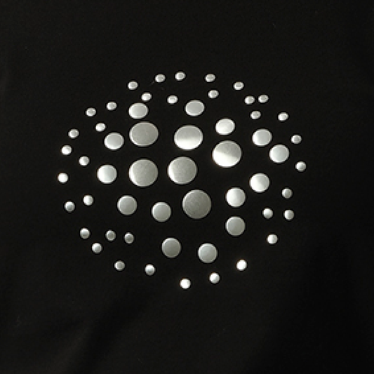 Cropped Orb Level T-Shirt in Black