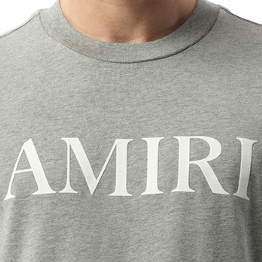 Amiri Core Logo T-Shirt in Grey