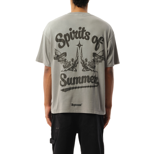 Spirits of Summer T-Shirt in Mist