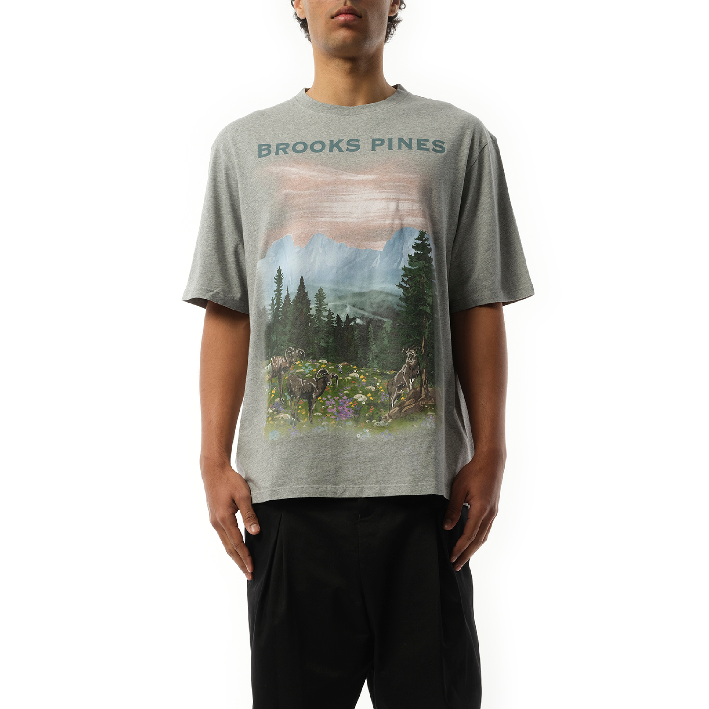 "Brooks Pines" Loose T-Shirt in Grey Melange