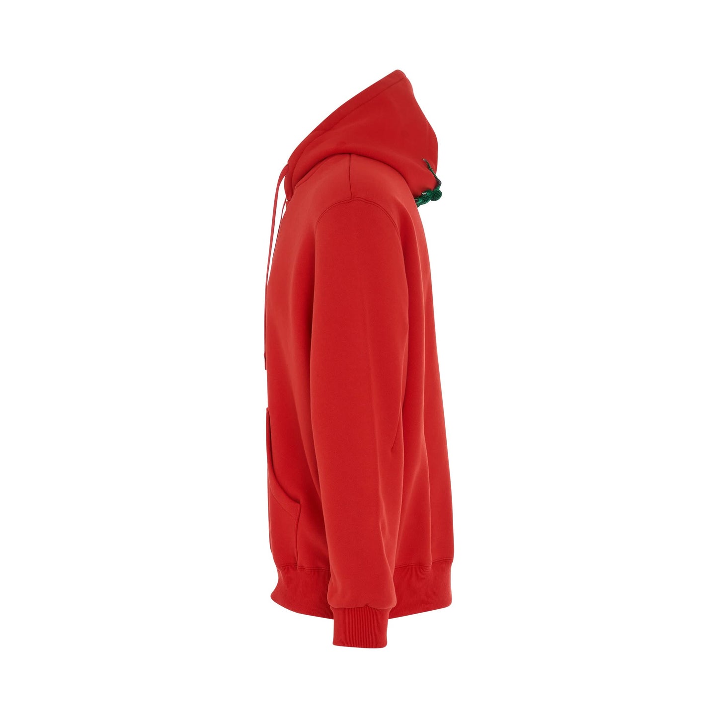 Vegetable Stem Embroidery Hoodie in Tomato