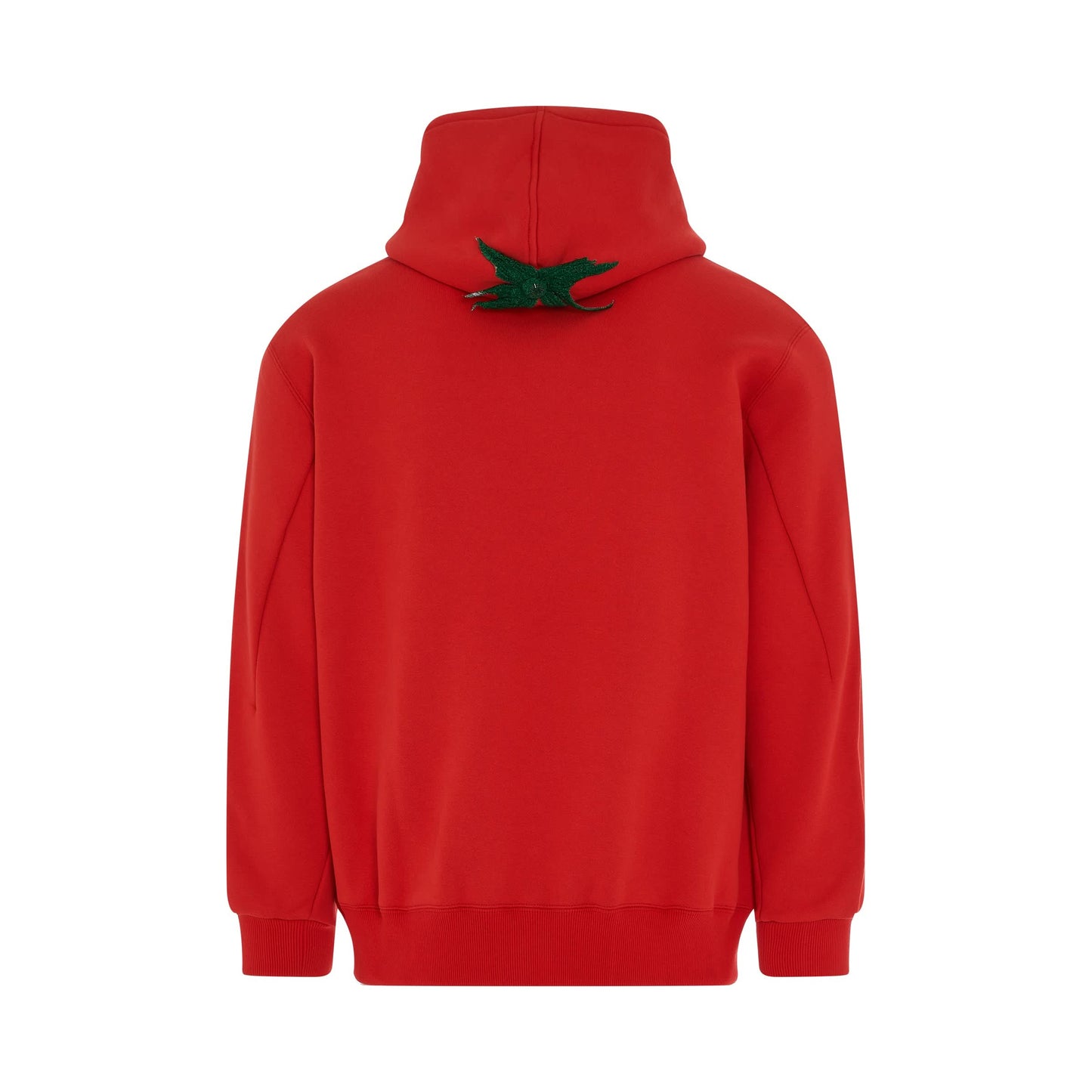 Vegetable Stem Embroidery Hoodie in Tomato