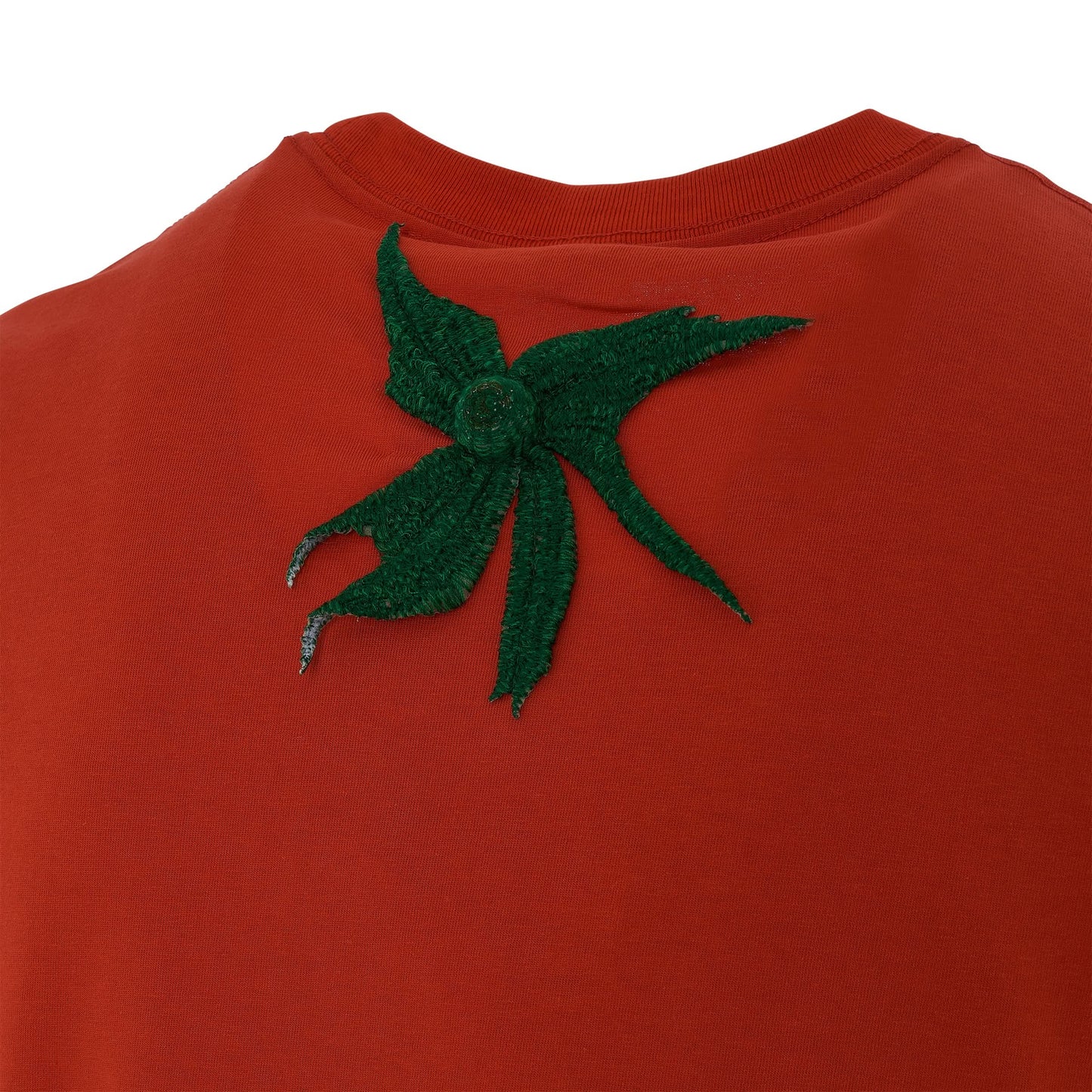 Vegetable Stem Embroidery T-Shirt in Tomato