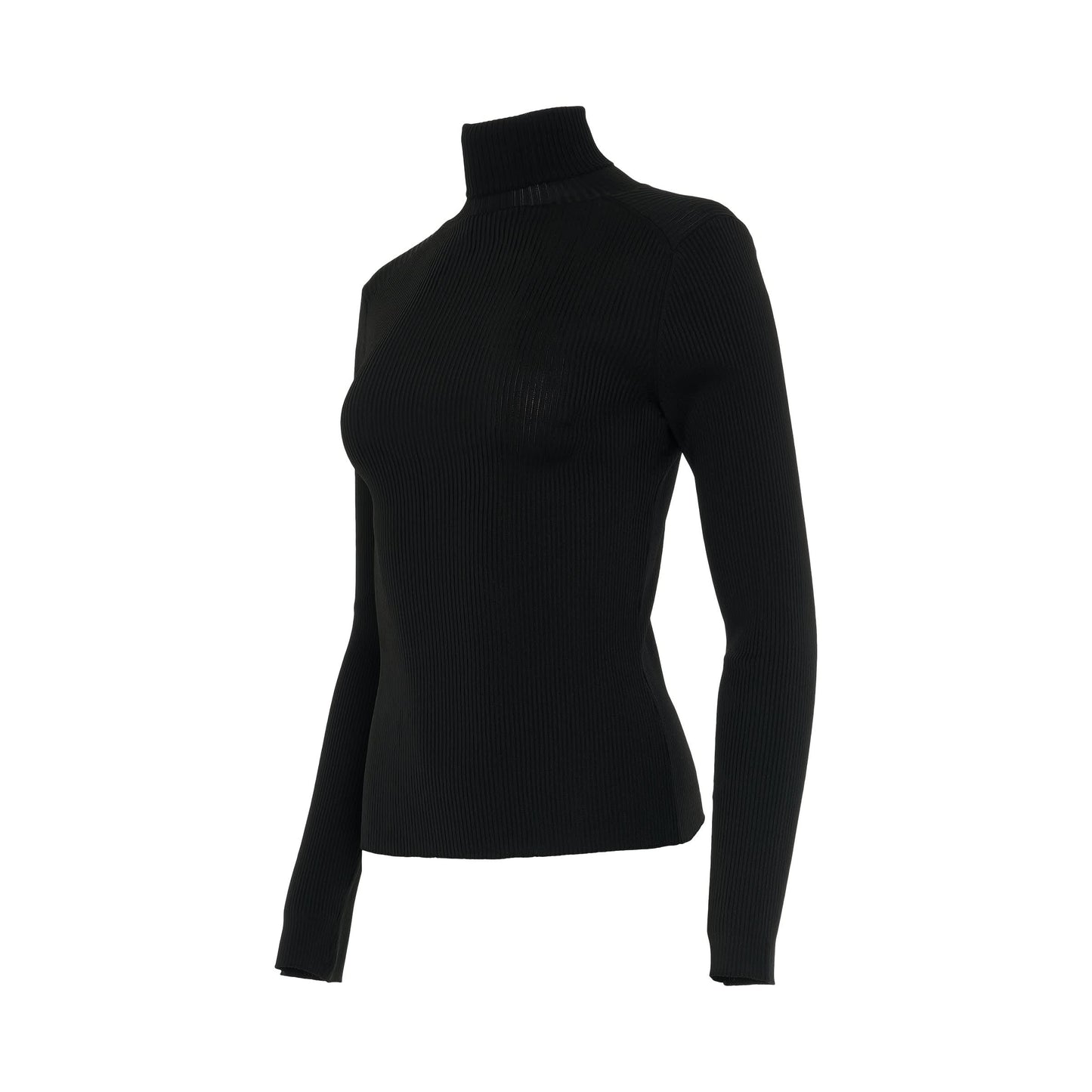 Fitted Rib Turtleneck Knitwear in Black