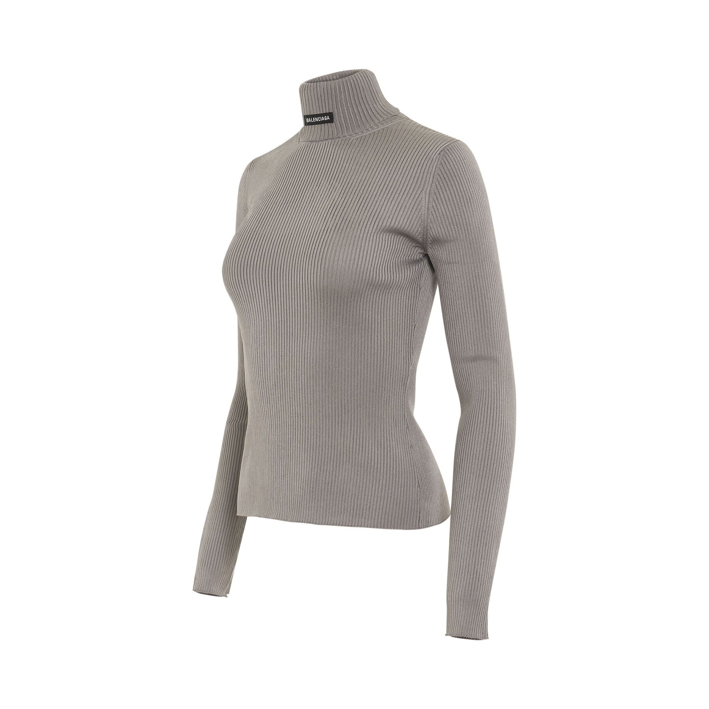 Long Sleeve Fitted Rib Knit Turtleneck in Grey