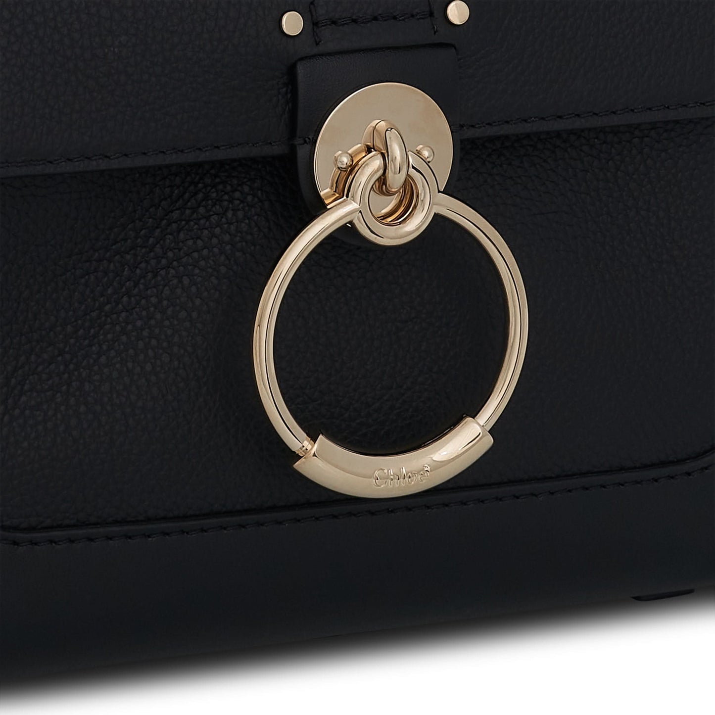 Mini Tess Day Bag in Grained 
Shiny Calfskin in Black