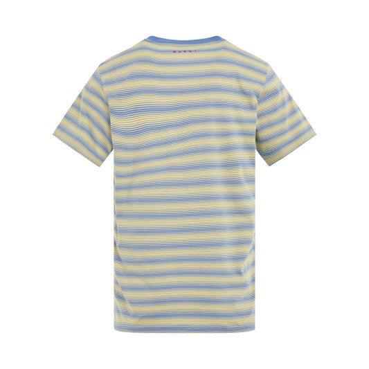 3 Pack Striped T-shirts in Citrine