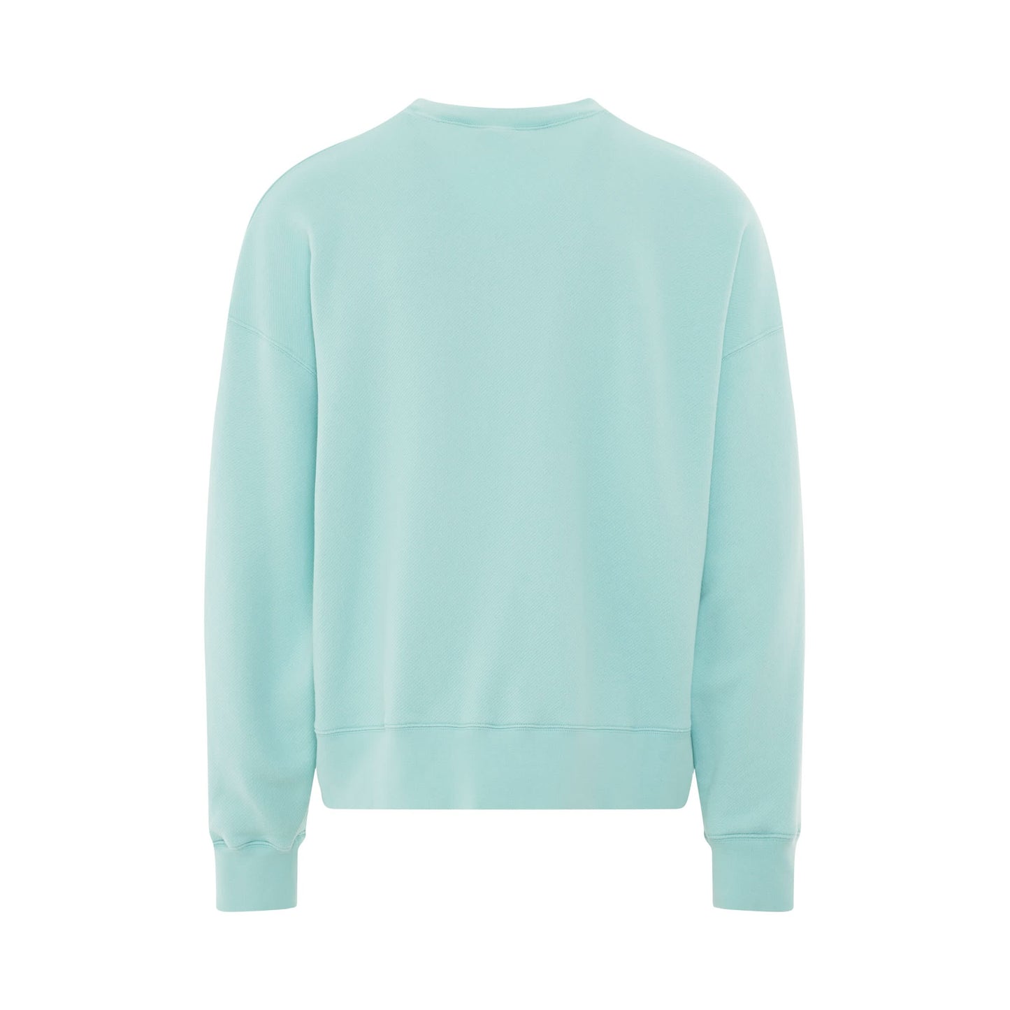 Shark Crewneck Sweatshirt in Light Blue/White