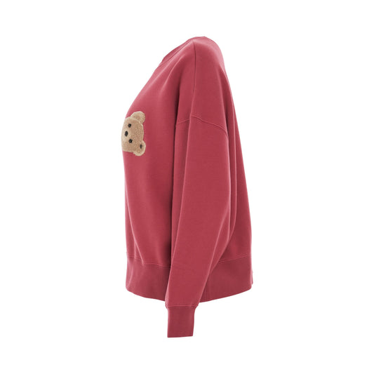 PA Bear Sweatshirt in Burgundy