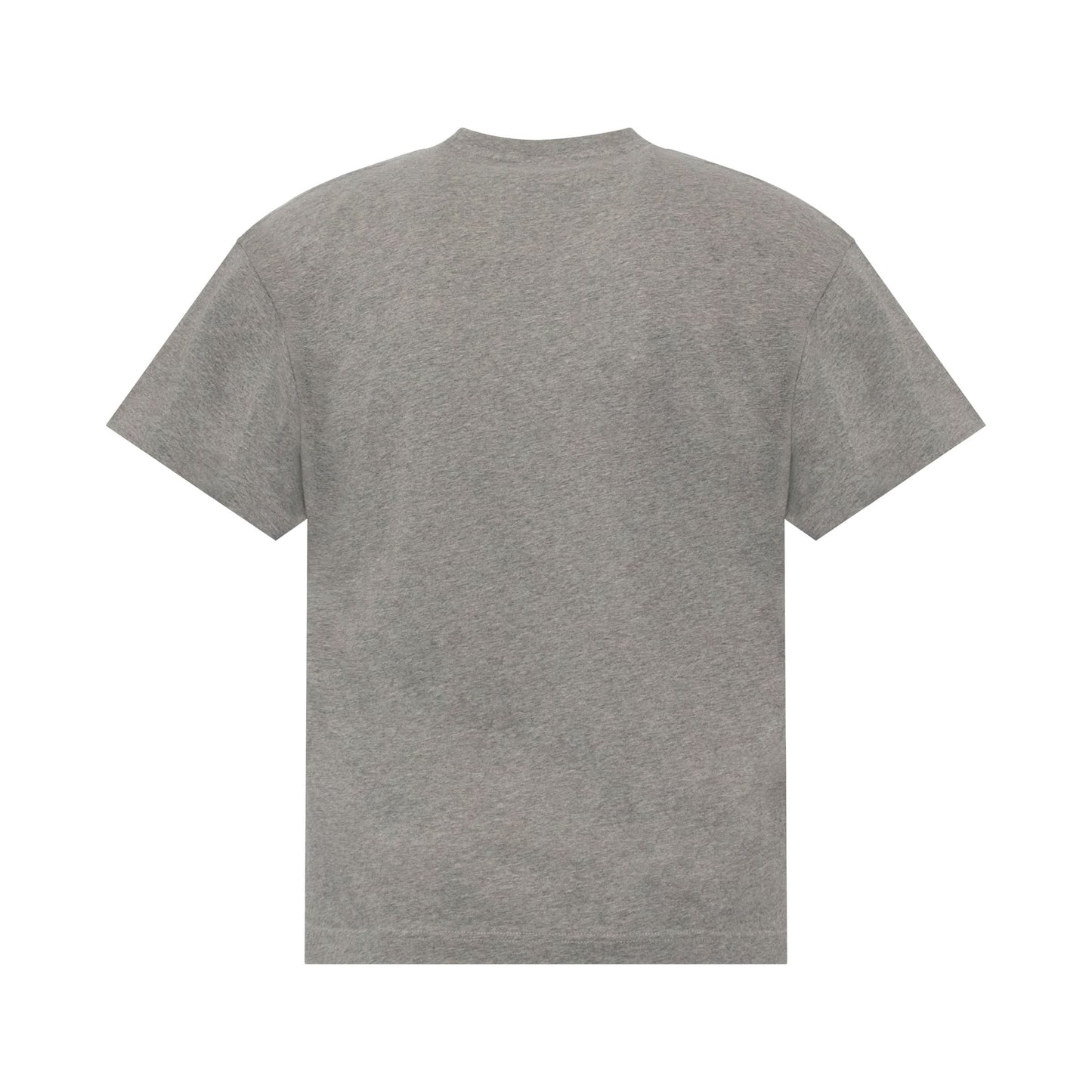 Oversize Classic Tiger T-Shirt in Pearl Grey