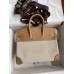 Hermes Birkin 25 Handmade Bag In Toile & Chai Epsom Leather