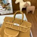 Hermes Birkin Cargo 25 Bag in Sesame Toile and Swift Leather