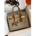 Hermes HSS Birkin 30 Bicolor Bag in Trench and Gold Epsom Calfskin